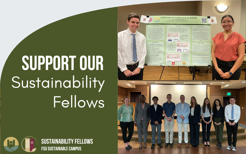 Support the Sustainability Fellows!